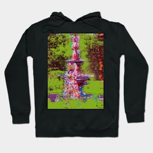 His Soul and Other Funerals Hoodie